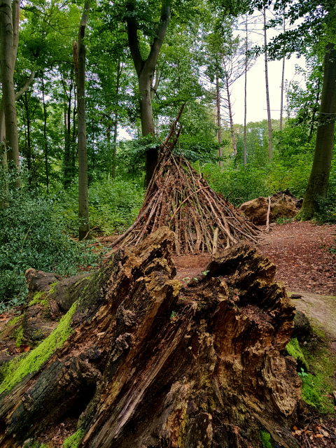 hixterwald sölderholz