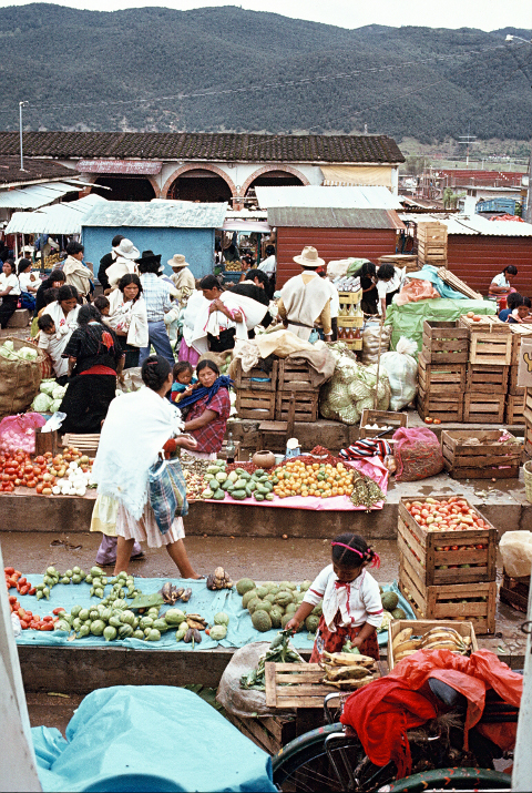 market cristobal